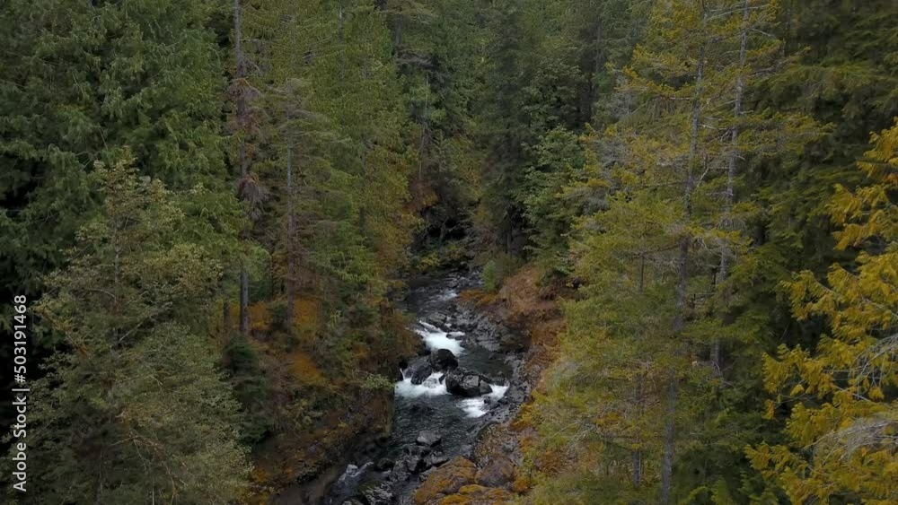 Aerial flying over a small river flowing through a forest in the middle of wilderness. Aerial flying over a small river flowing through a forest in the middle of wilderness.