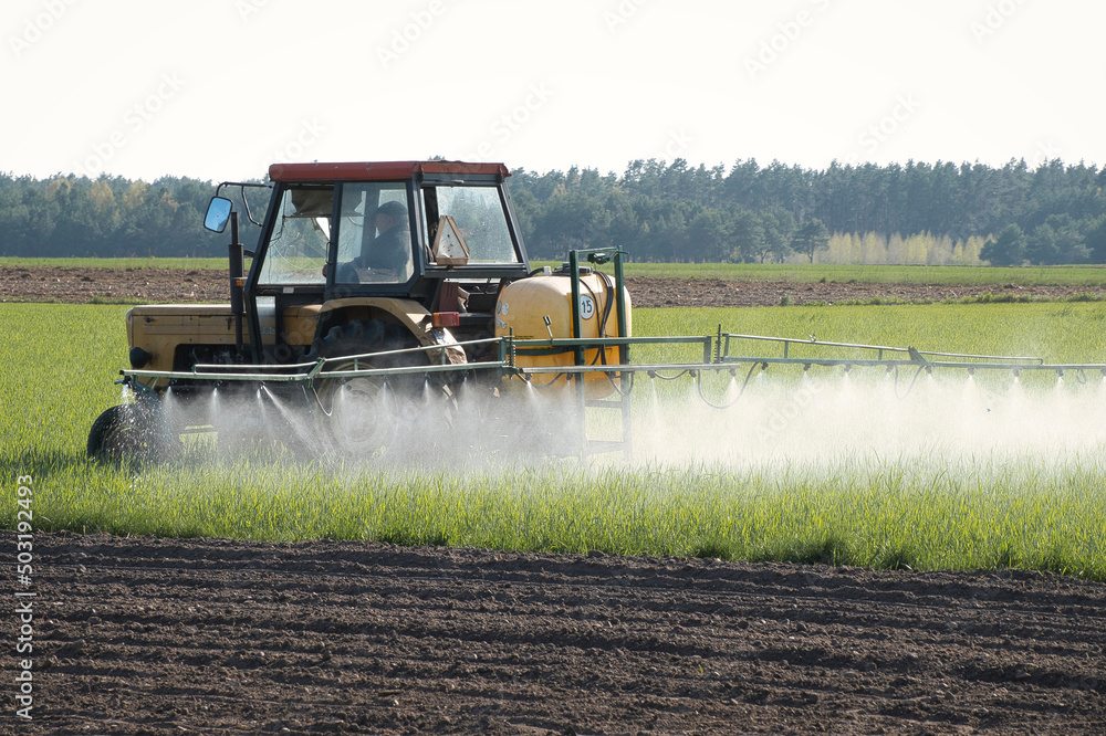 Fototapeta premium traktor z opryskiwaczem jedzie po polu opryskując wschodzące rośliny