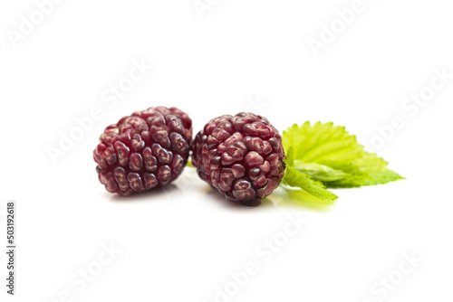 Two black mulberries fruits with leaf on white