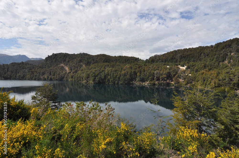 The lago Correntoso, Road of the Seven Lakes, Argentina. The lago Correntoso, Road of the Seven Lakes, Argentina.