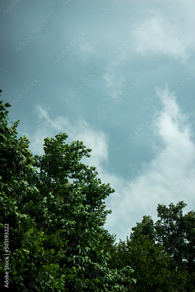 Fototapeta premium sky and clouds