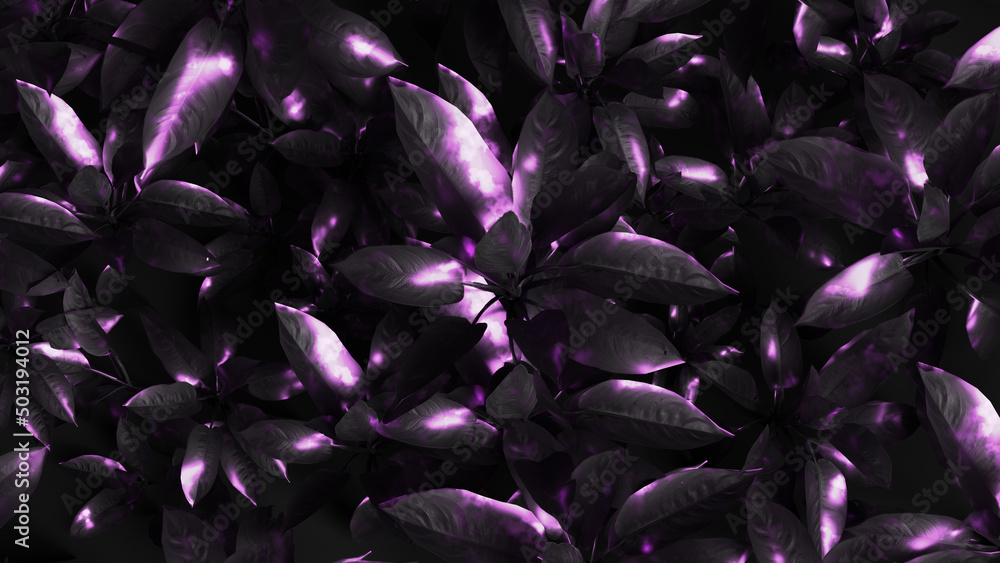 abstract flower background, 3D rendering flowers
abstract flower background, 3D rendering flowers