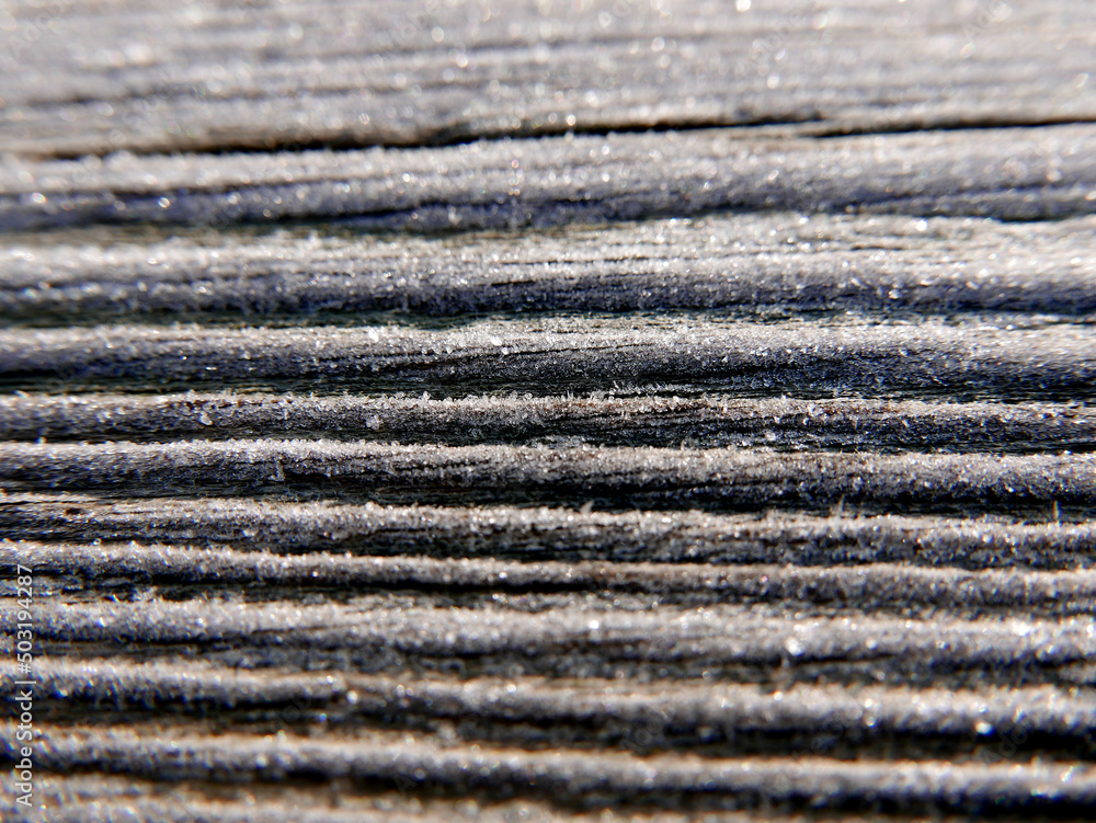 Texture bois gelé Texture bois gelé
