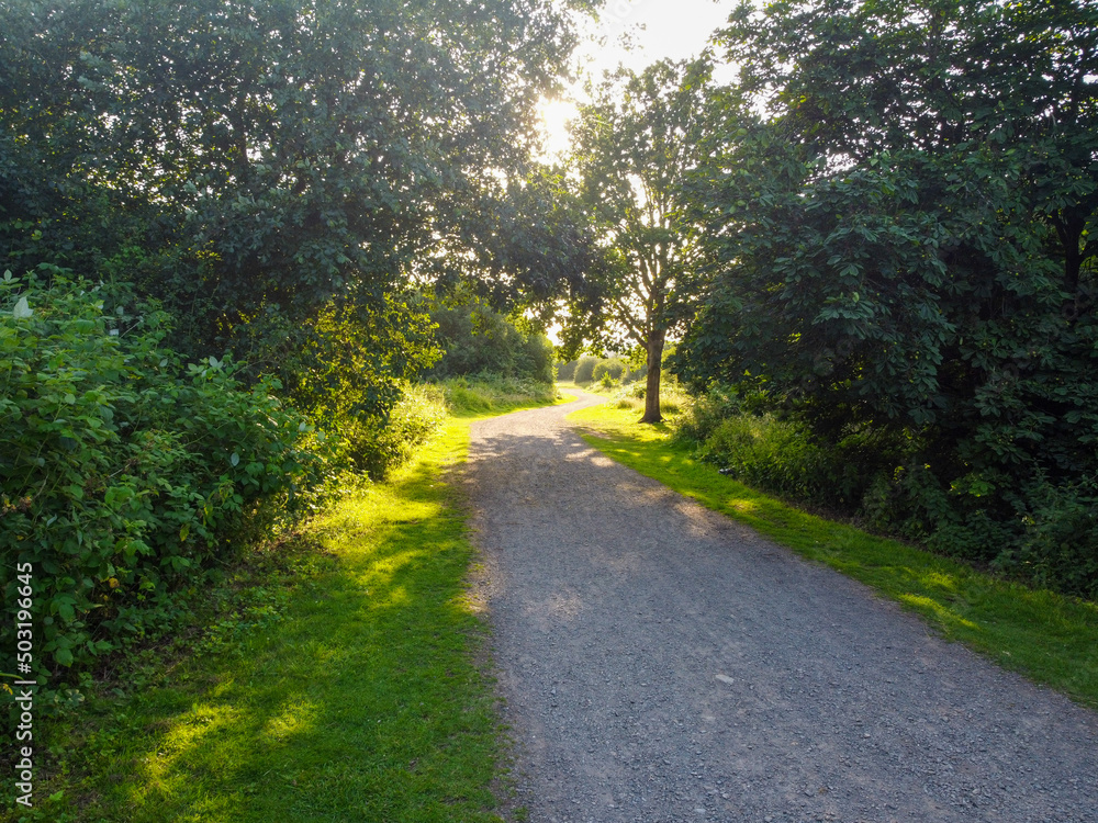 Obraz premium Irchester Country Park - Trees Overshadowing Path