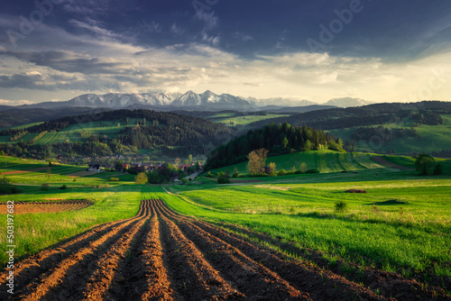 Spring landscape scenery with green fields, snowy mountains and a blue sky with some clouds