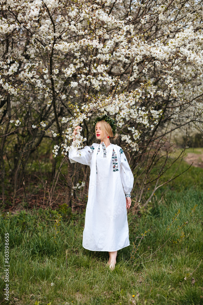 A Ukrainian woman in a white embroidered shirt and with a wreath on her head in a blooming garden in spring. Portrait of a Slavic girl.
A Ukrainian woman in a white embroidered shirt and with a wreath on her head in a blooming garden in spring. Portrait of a Slavic girl.