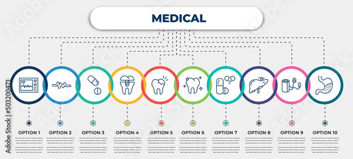 vector infographic template with icons and 10 options or steps. infographic for medical concept. included ecg, lifeline, tablets, premolar, caries, molar, drugs, liver, stoh.