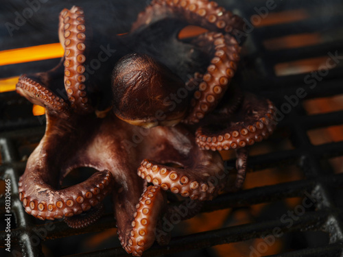 Cooking seafood on the grill, on an open fire. Octopus is grilled. Macro shot. Seafood recipes. Gourmet food, healthy vegetarian food. Restaurant, hotel, home cooking, banner.