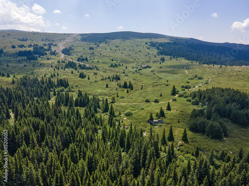 Fototapeta Naklejka Na Ścianę i Meble -  Aerial view of Konyarnika area at Vitosha Mountain, Bulgaria