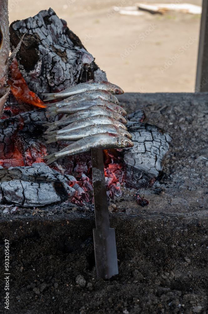 Obraz premium Malaga style of preparation of fresh fish, catch of the day, on skewers and open flame on fireplace with olive trees wood