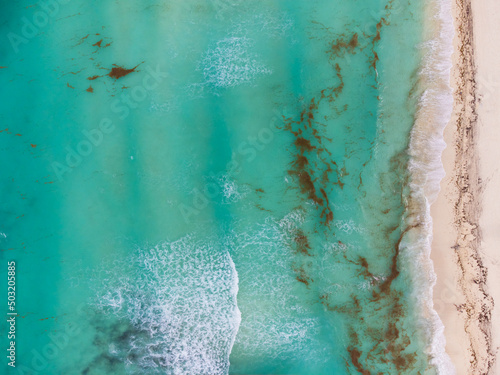 Shooting from a drone. Turquoise sea water and white beach. The sea is polluted with algae. Environmental protection  ecology  climate change  global warming. There are no people in the photo.