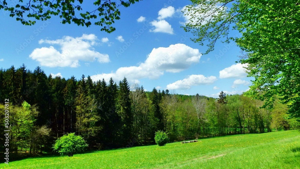Fototapeta premium In der Natur