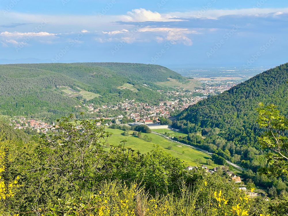 Aerial point of view on Guebwiller (Alsace, France) and the entrance to the Florival valley, its green forest and its mountains, its blue sky, on a sunny summer day