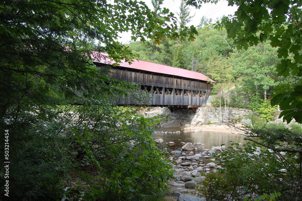 Fototapeta premium Wooden covered bridge