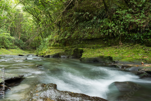 Fototapeta Naklejka Na Ścianę i Meble -  森をバックに緑の崖と川の流れ
