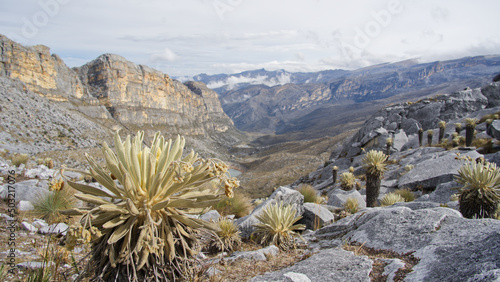 el cocuy