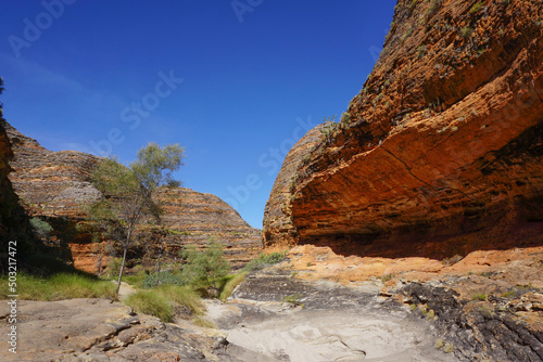 Trail past the overhanging sandstone mounds with the incredible blue sky. Bungle Bungles Western Australia.
