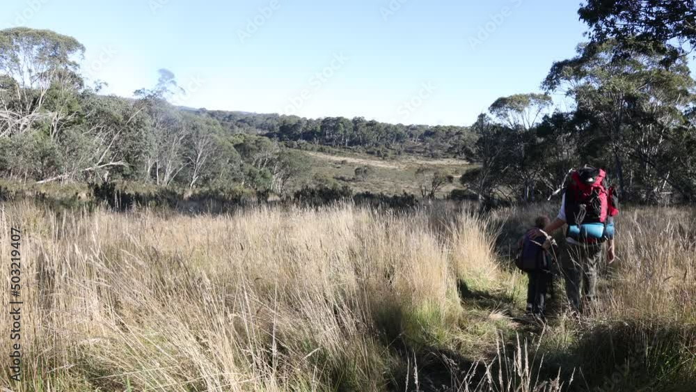 A man and his son trekking in high grassy plains in the Australian bush. A man and his son trekking in high grassy plains in the Australian bush.