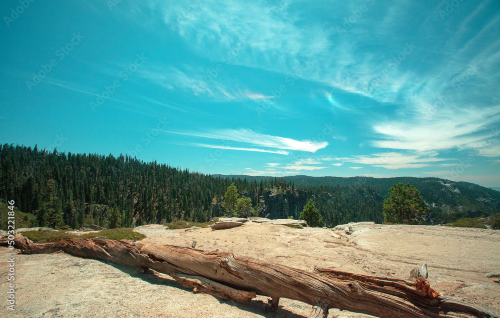 Dead pine tree log under cirrus cloudscape at Taft Point in Yosemite National Park in Central California United States Dead pine tree log under cirrus cloudscape at Taft Point in Yosemite National Park in Central California United States