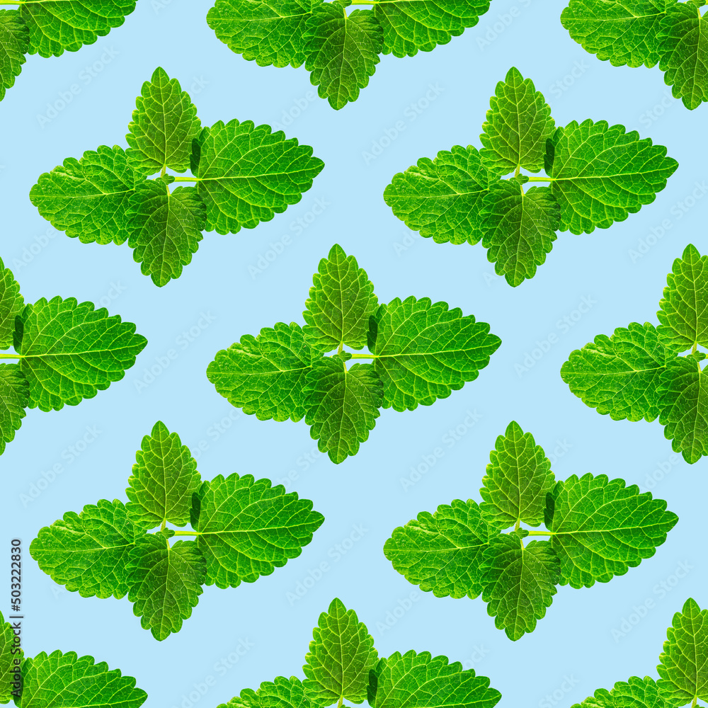 Seamless pattern of fresh mint leaves on blue background for packaging design. peppermint abstract background. Seamless pattern of fresh mint leaves on blue background for packaging design. peppermint abstract background.