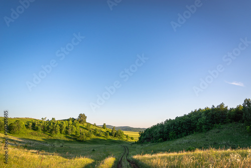 Green grass, hills field and forest at sunset.