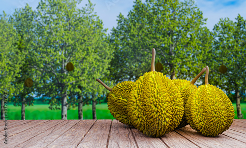 Fresh durian, not peeled Pl...