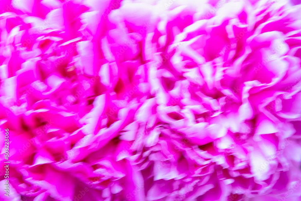 Pink flowers in a bouquet. blurred.