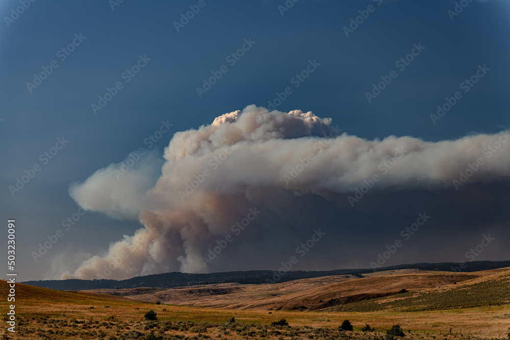 Wildland Fire Wildland Fire