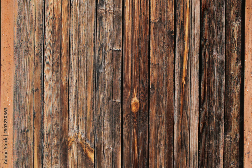 Naklejka premium Wooden, old wall.