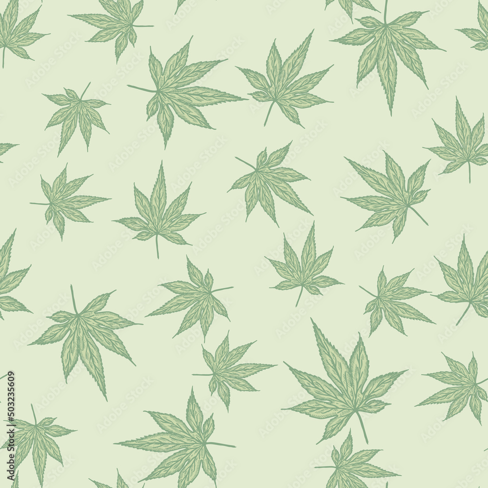 Fototapeta premium Leaves maple canadian engraved seamless pattern. Vintage background botanical leaf cannabis in hand drawn style.