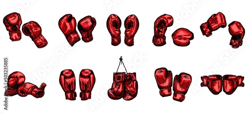 Set red boxing gloves sketch in isolated white background. Vintage sporting equipment for kickboxing in engraved style.