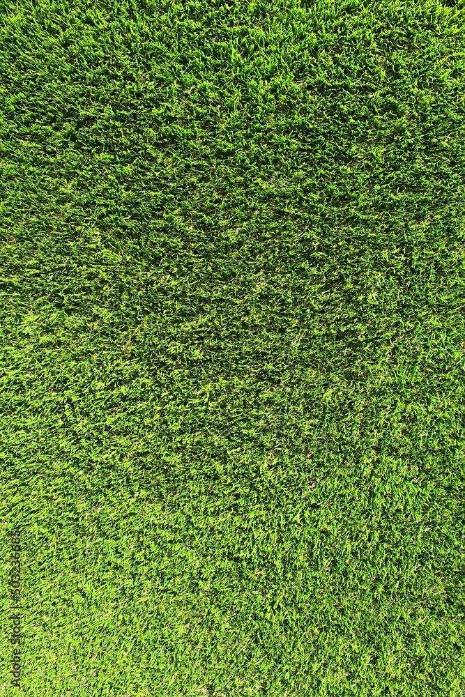 Obraz premium Texture of green arficicial lawn placed on spring daylight sunshine.