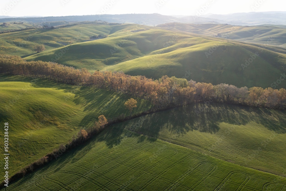 Obraz premium Tuscany hill landscape. Waves hills, rolling hills, minimalistic landscape with green fields in the Tuscany. Val D'orcia in the province of Siena, Italy Beautiful sunny day.