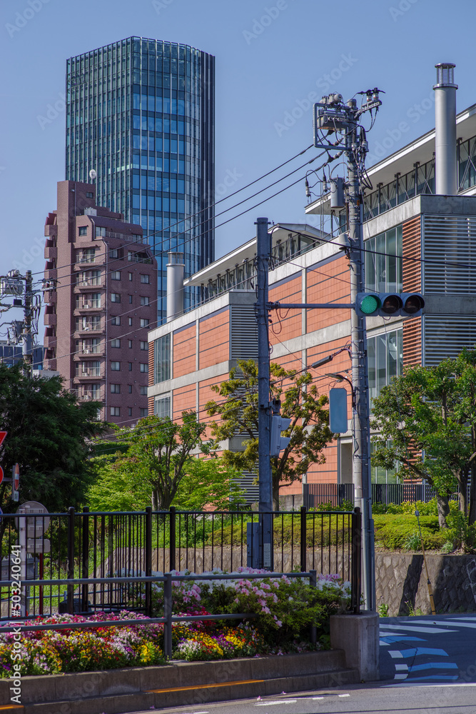 東京六本木7丁目の街の風景 東京六本木7丁目の街の風景