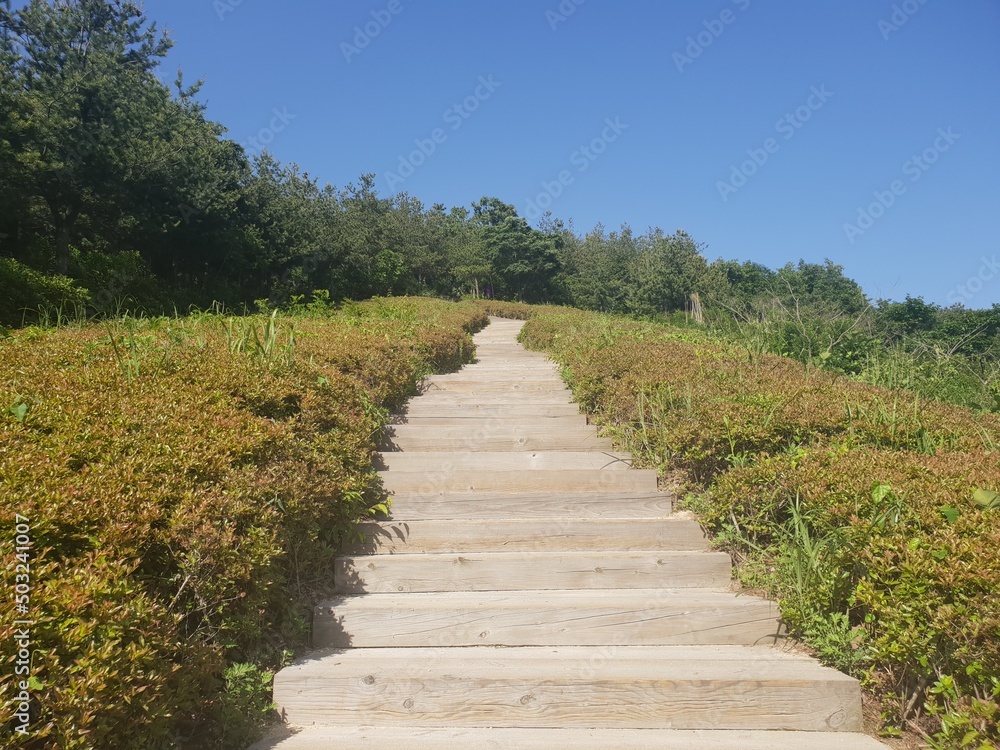 등산로 등산로