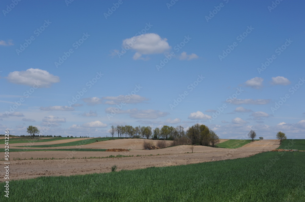 A beautiful rural countryside ecological farming landscape with green meadow, field and trees  on a sunny day with blue sky and white clouds in spring in Mazovia district of Poland, Europe