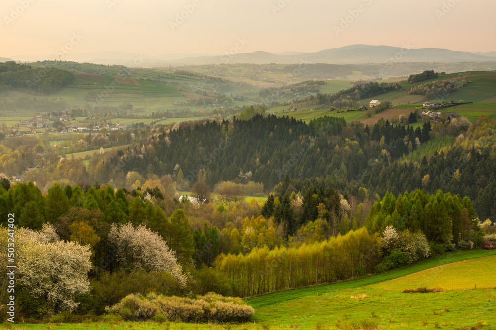 Rural Landscape at Spring Sunrise in Poland