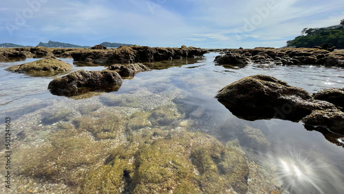 Seascape. Landscape. Low tide. sandy rocky bottom is visible through transparent water. Ebb. Shallow water. Sea corals come above the water at low tide. Blue sky with clouds. Beautiful skyline. 