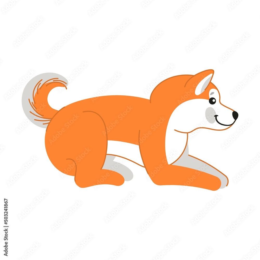 Cute Akita Inu lies resting, puppy character. Vector illustration of Japanese breed of dog. Cartoon kawaii isolated on white. Pet, friend Cute Akita Inu lies resting, puppy character. Vector illustration of Japanese breed of dog. Cartoon kawaii isolated on white. Pet, friend