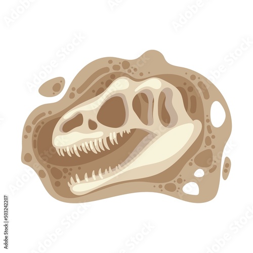 Dinosaur predatory tirex head fossil vector. Archeology, paleontology. Bones or skeleton of prehistoric reptiles found underground during excavations isolated on white background