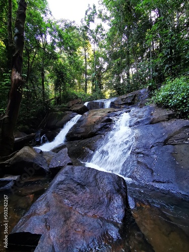 cascade en jungle amazonienne guyane photo