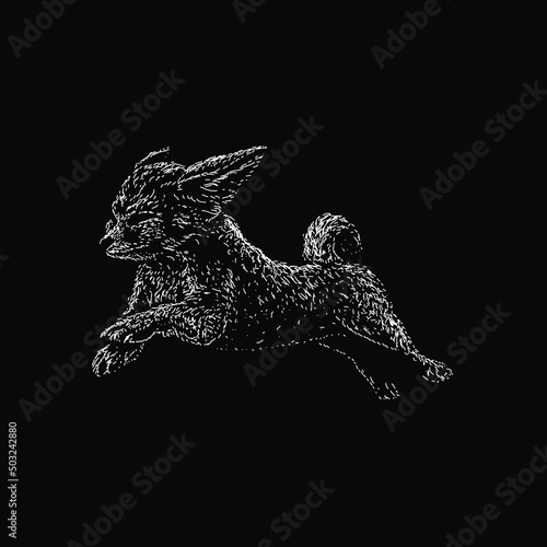 fennec fox hand drawing vector illustration isolated on black background