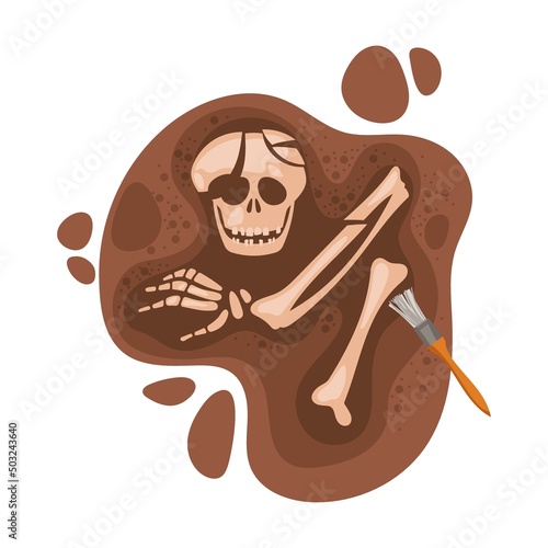 Search and study of ancient human skeleton, grave by archaeologist. Cartoon vector illustration of science artifacts. tools for discovery