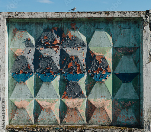 Bird on the wall