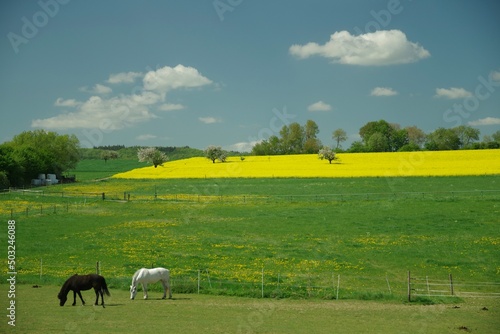 Landschaft im Taunus