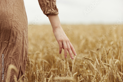 Woman hands Wheat field endless field