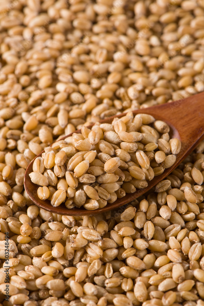 Uncooked bulgur wheat seed. Background and texture. Uncooked bulgur wheat seed. Background and texture.