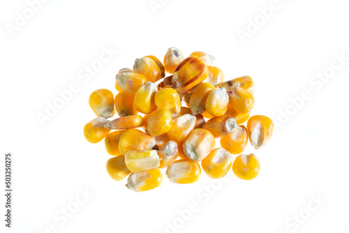 corn grains on a white isolated background