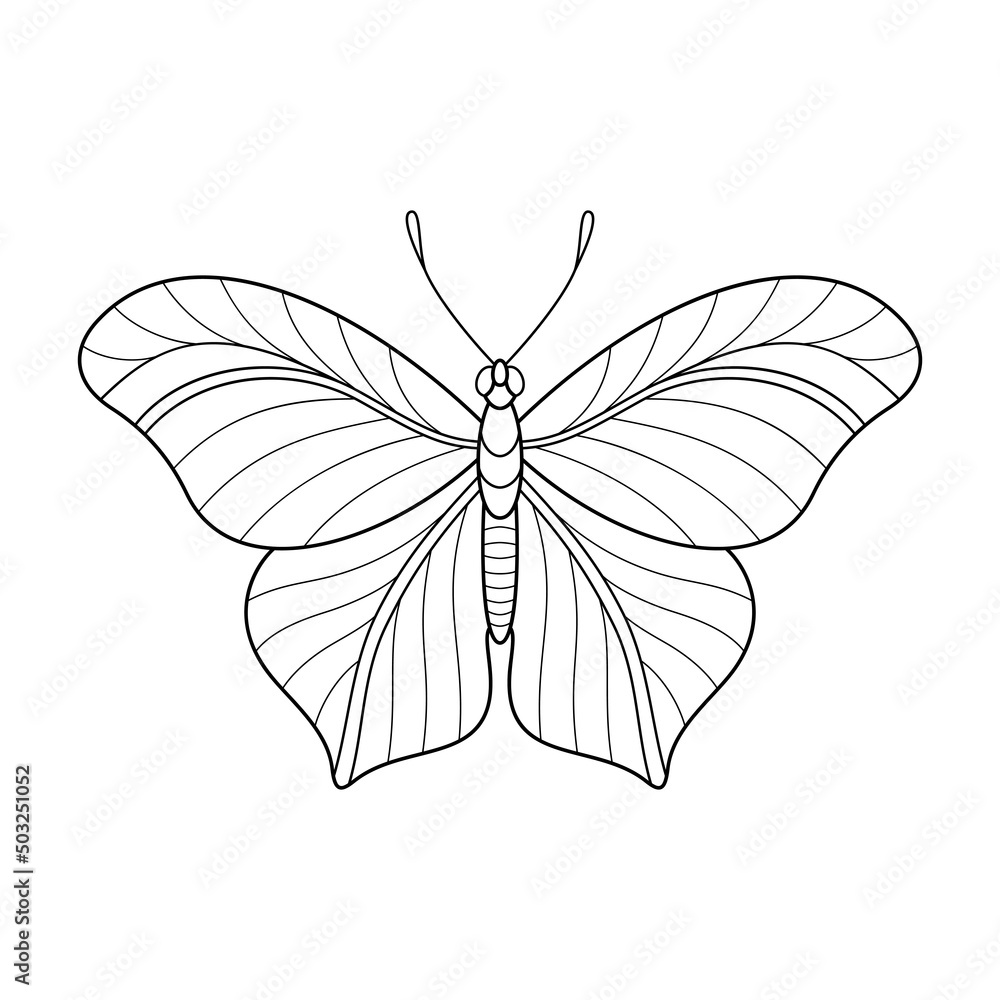 Black and White Cartoon Contour Striped Butterfly for Coloring Book. Isolated Object Uncolored Hand Drawing Cute Butterfly. Black and White Cartoon Contour Striped Butterfly for Coloring Book. Isolated Object Uncolored Hand Drawing Cute Butterfly.