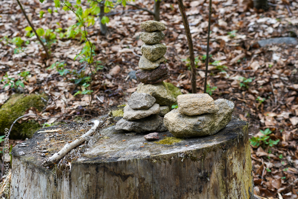 Obraz premium stones in the forest
